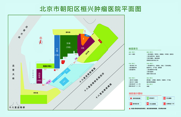 欧美操黑逼视频北京市朝阳区桓兴肿瘤医院平面图